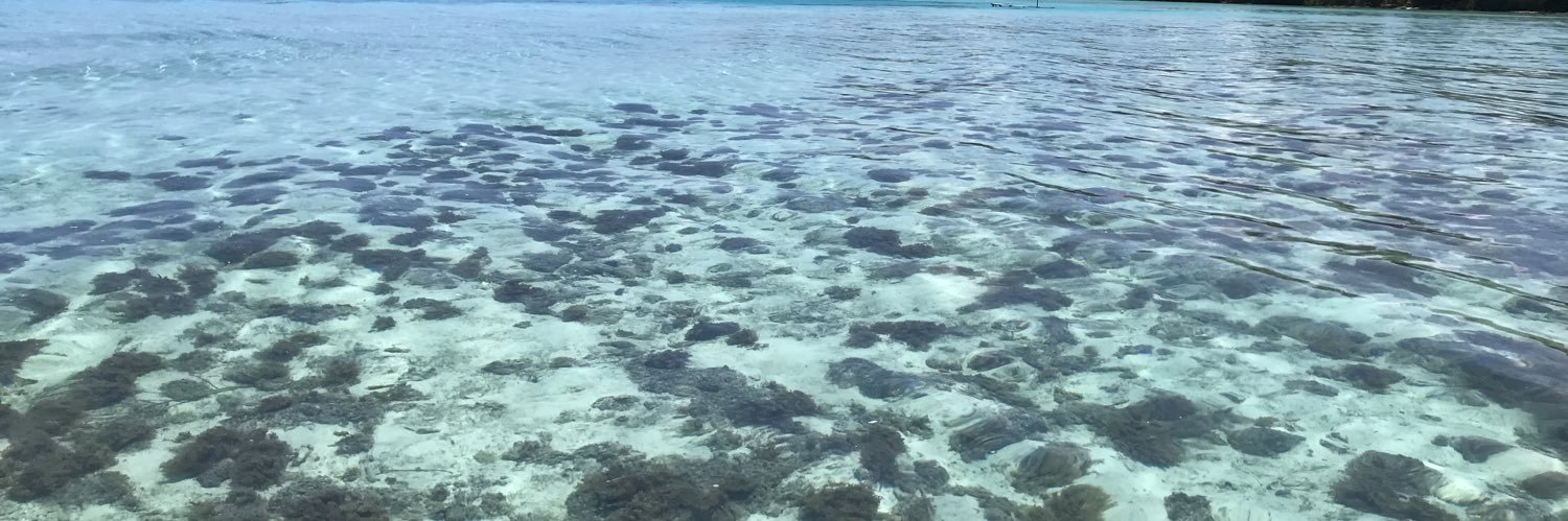 Protections Océans Polynésie banner