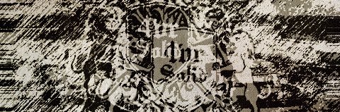 4VR SOLID's banner