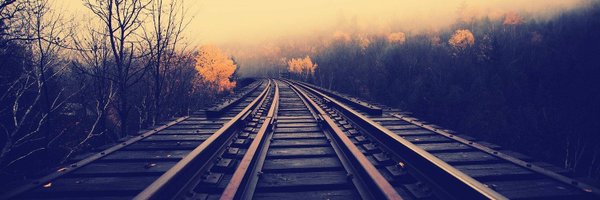 ShinoCapi Profile Banner