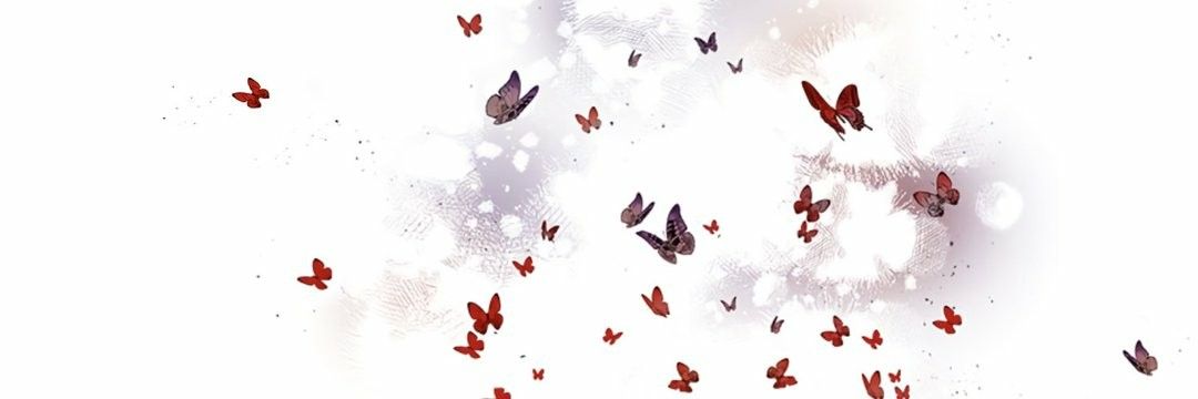 𓍢 sam ⏖'s banner