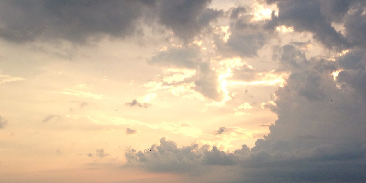 Sharon Kastor banner