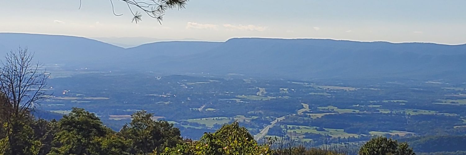 Steven Saucier banner