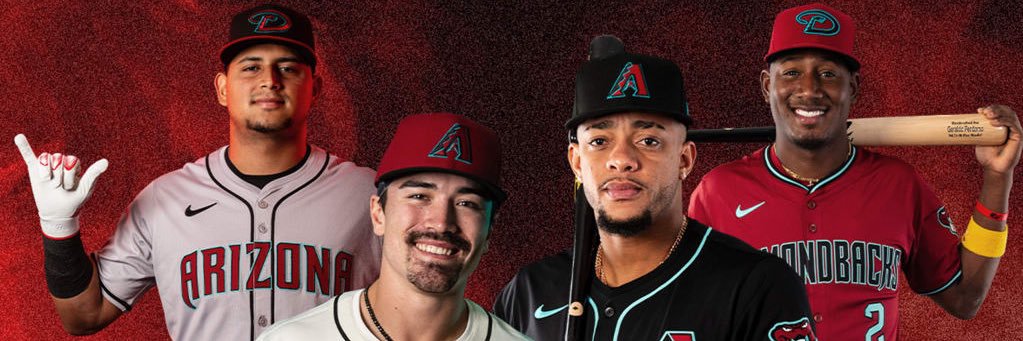 Die Hard Dbacks banner