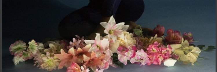 imleaviolet's profile banner image