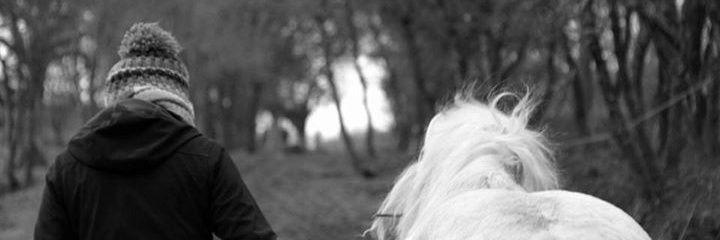 zal1215's profile banner image
