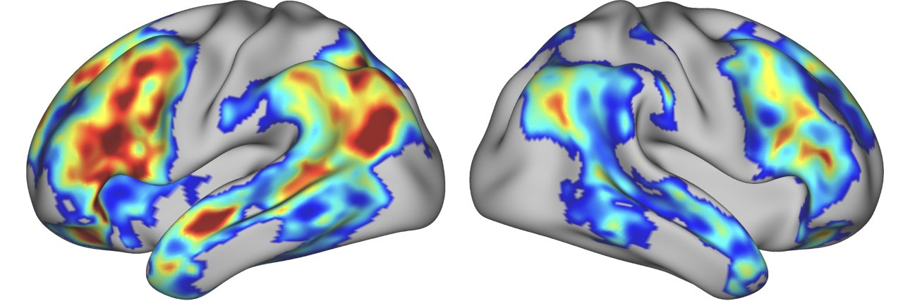 NeurologyMCW's profile banner image