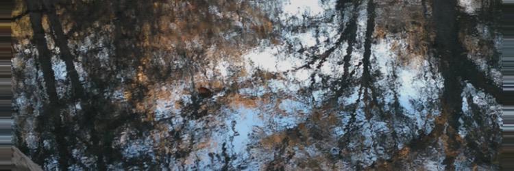 Natalie_Anne96's profile banner image