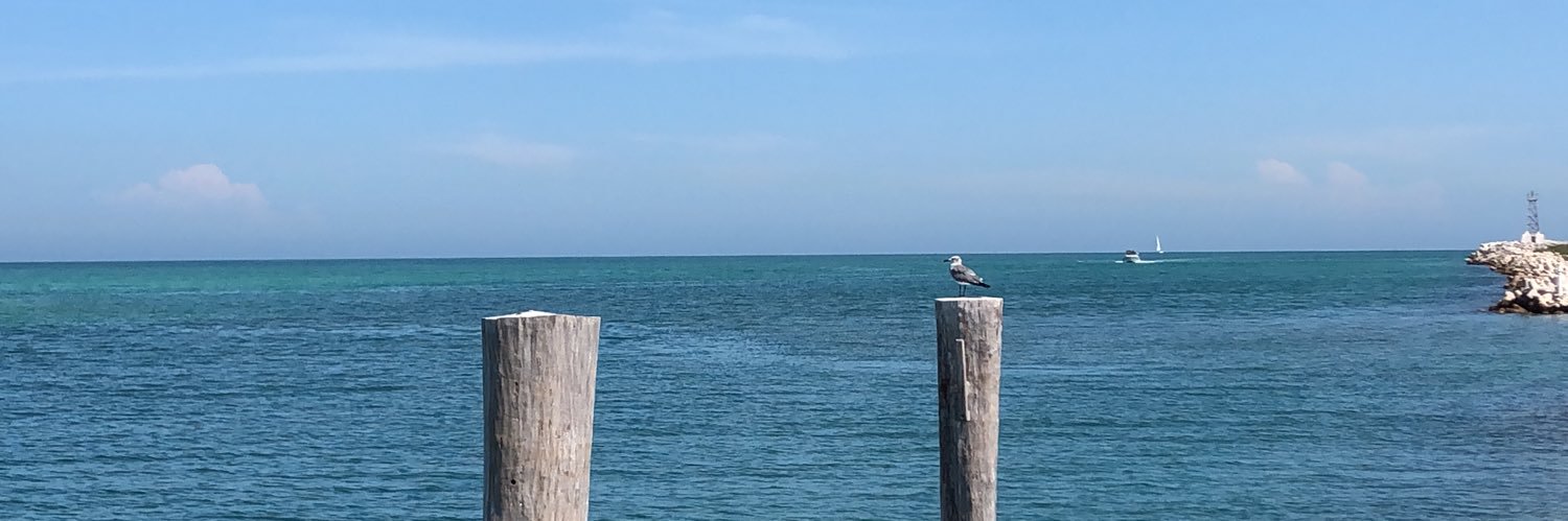 jptruj's profile banner image