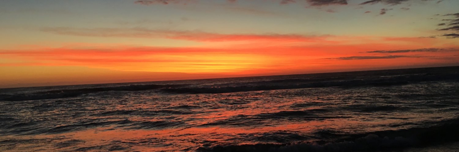 sofiaaayala's profile banner image