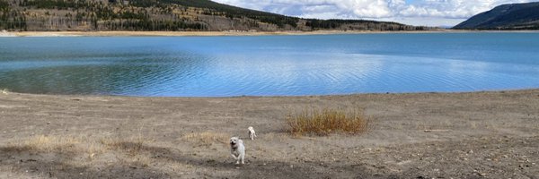 ecats_ Profile Banner