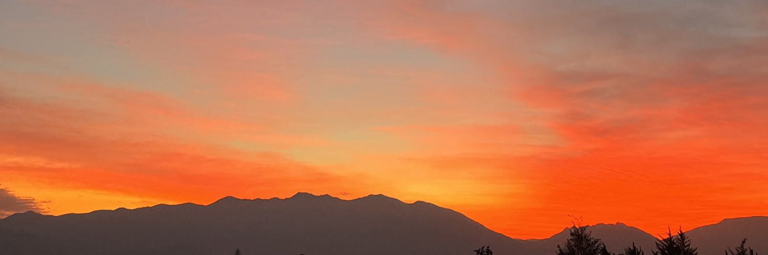 martilecea's profile banner image