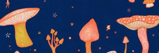 carou_lis's profile banner image