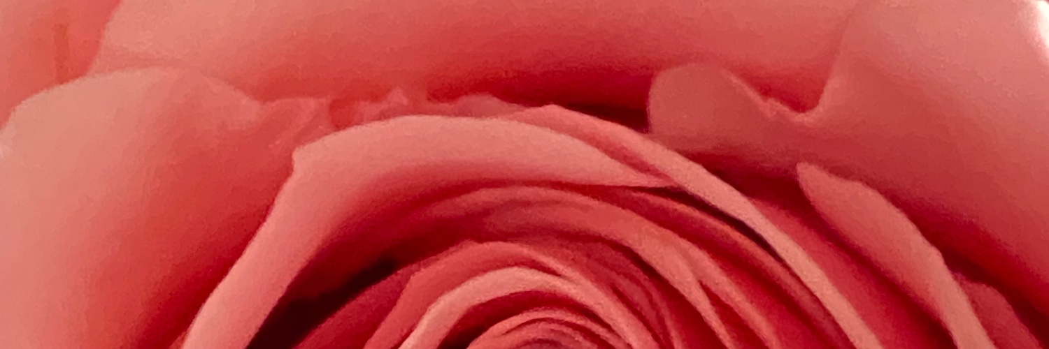 RitaNikole's profile banner image