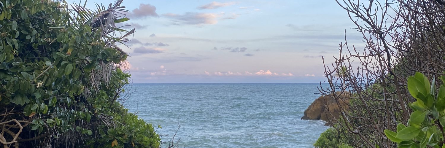 loirinha pisciana banner