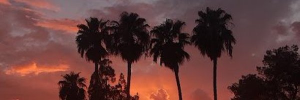 thaiscons Profile Banner