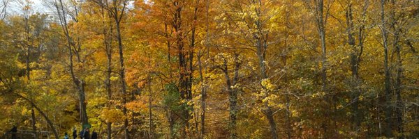 LDRexauthor Profile Banner