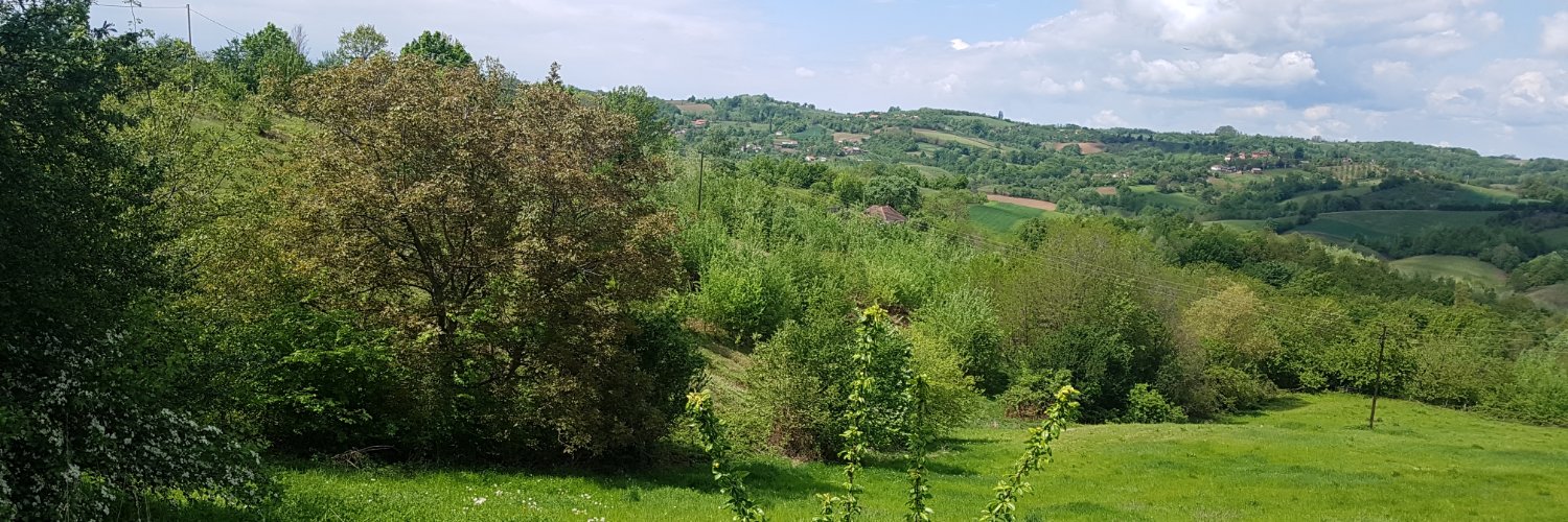 Milan Dimitric banner