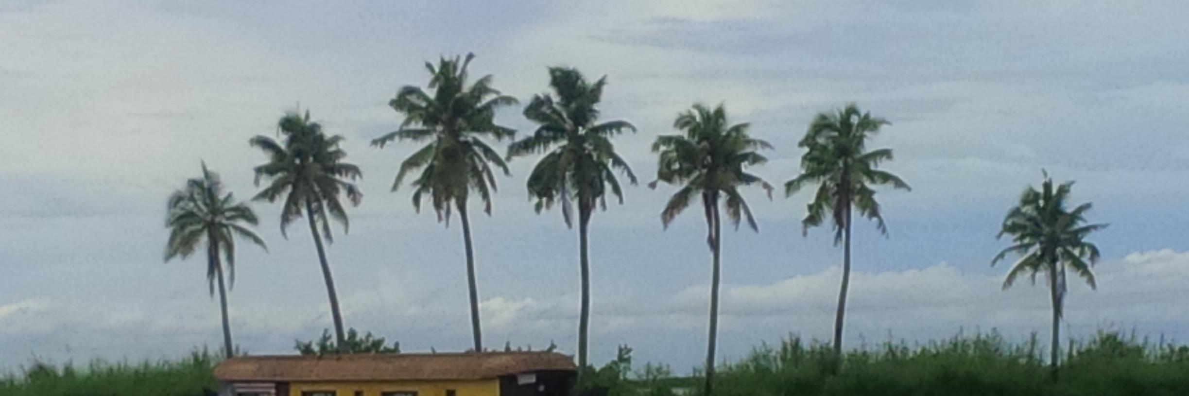 SmilingBudha's profile banner image