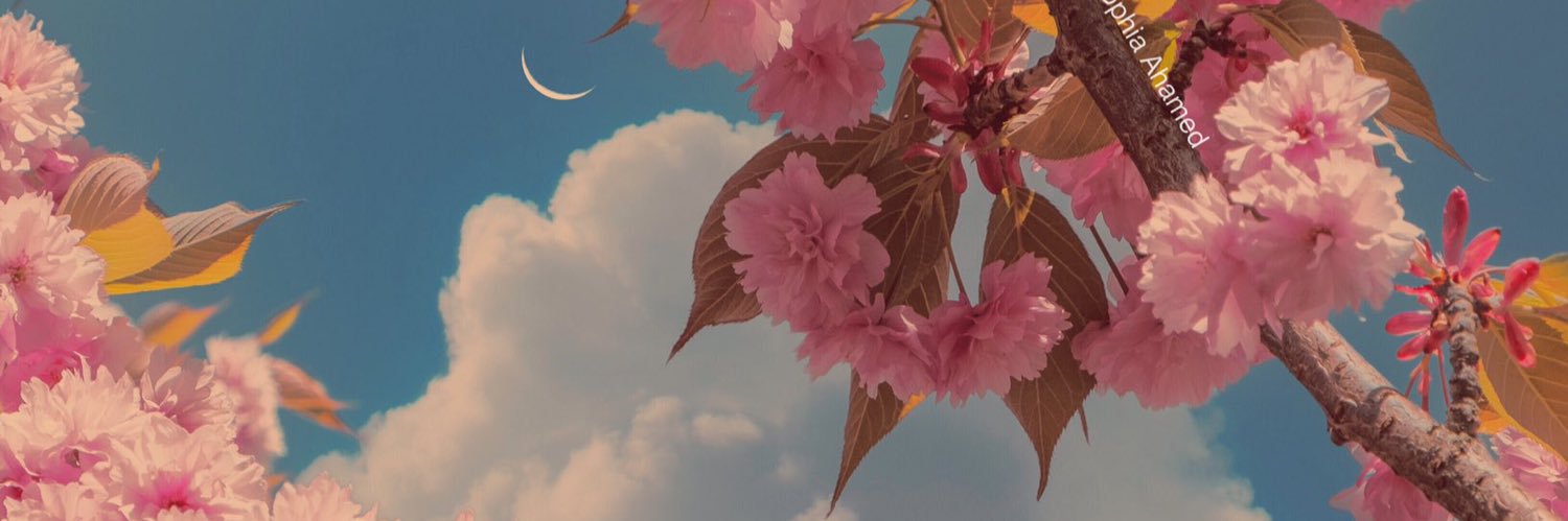 DanielEGonzz's profile banner image