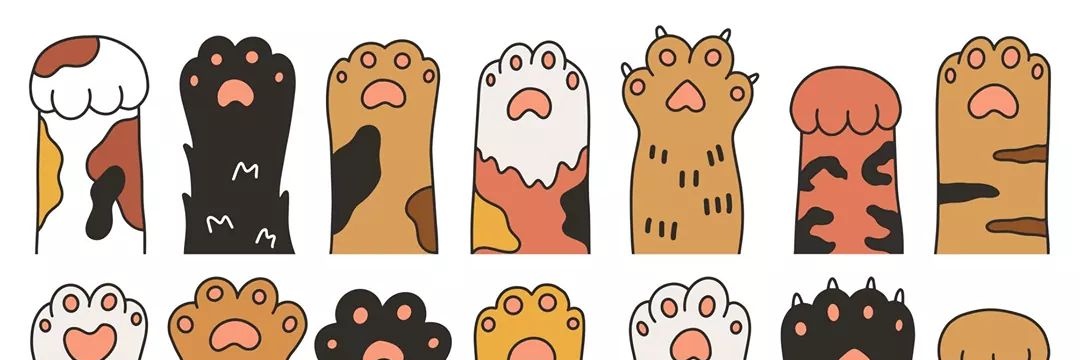 ducca69's profile banner image