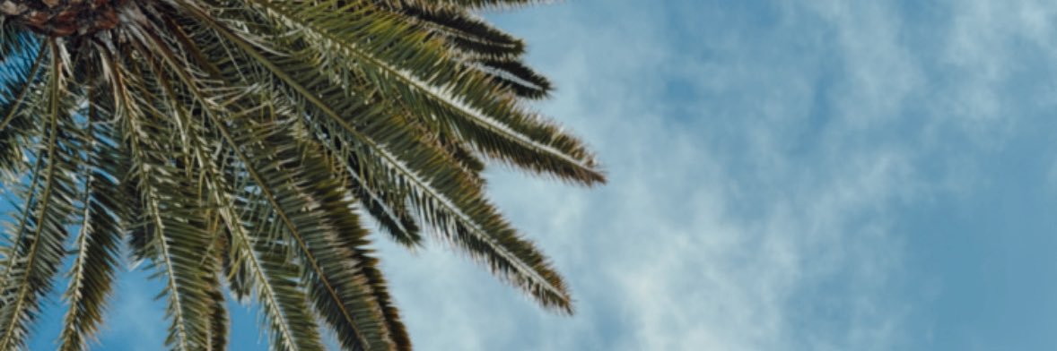VBeSweet's profile banner image