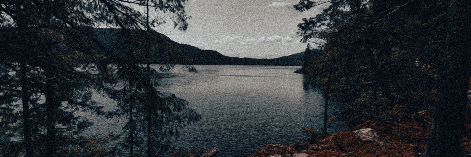 NBeckthold's profile banner image