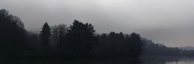 Elli-Mac ☮️🆓️🗽☢️🌿's banner