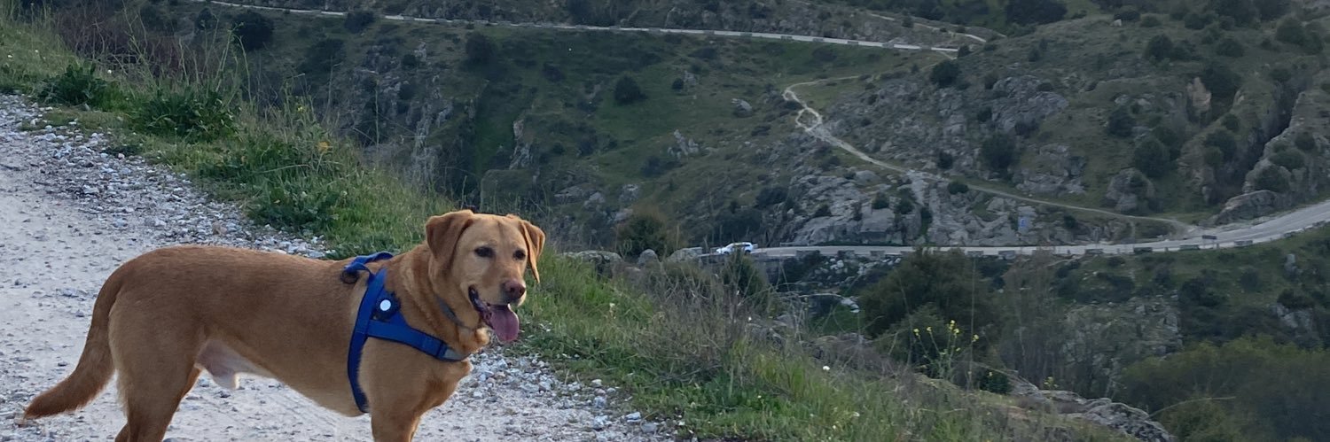 Pablo Ordóñez banner