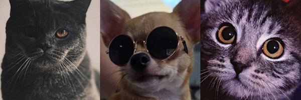 arshak_gray__ Profile Banner