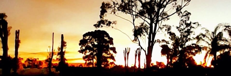 Sampson_mean's profile banner image