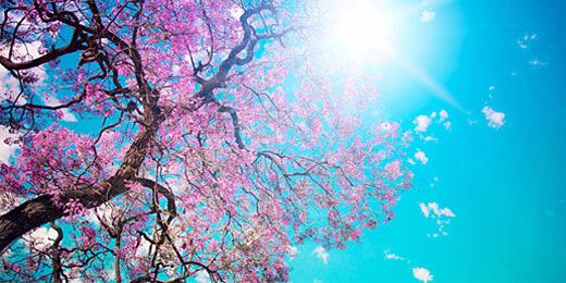 Brenda O'Neill banner