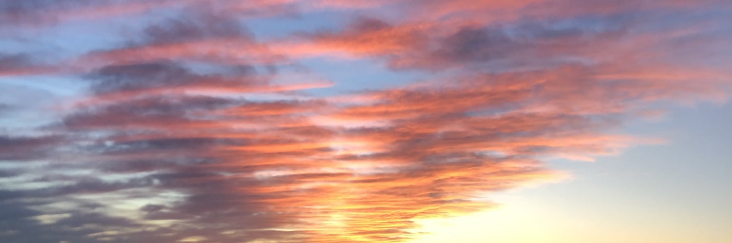 swiftlori's profile banner image