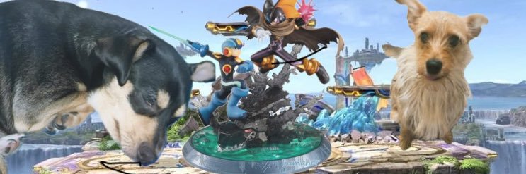 asddogcat's profile banner image