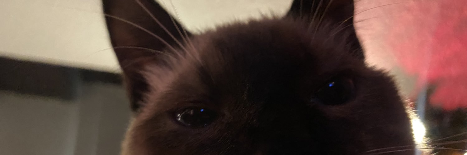 marianamnar's profile banner image