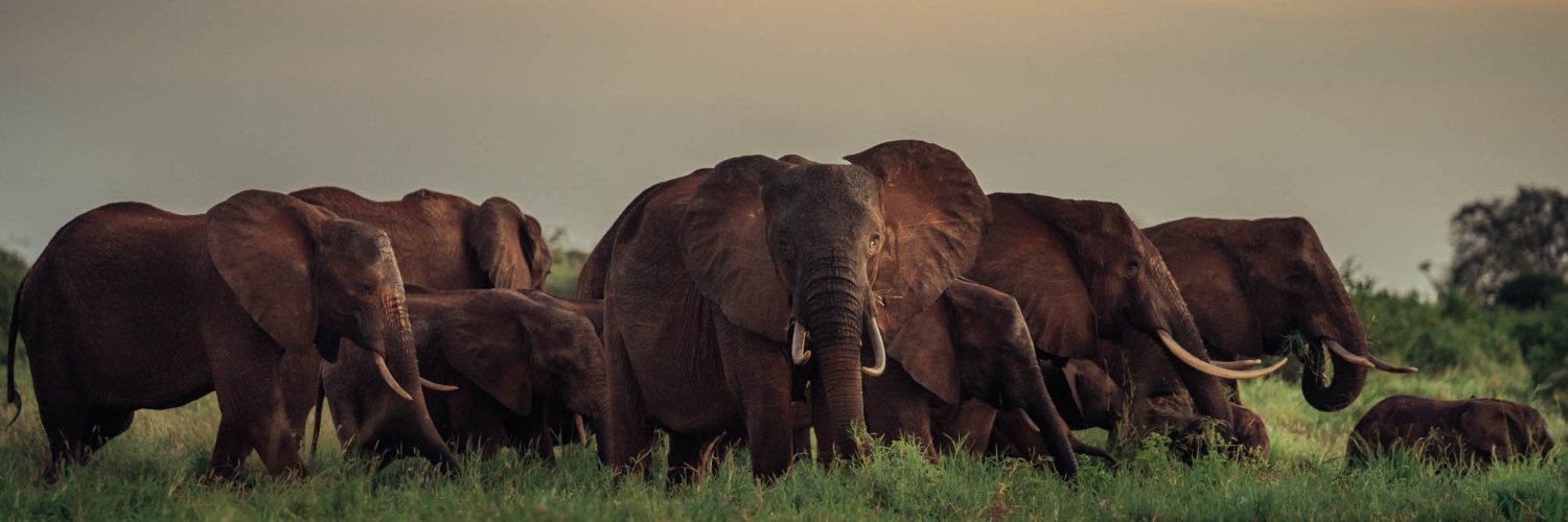 Wildlife Works banner