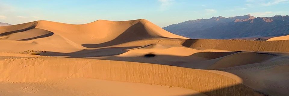 ebloem's profile banner image