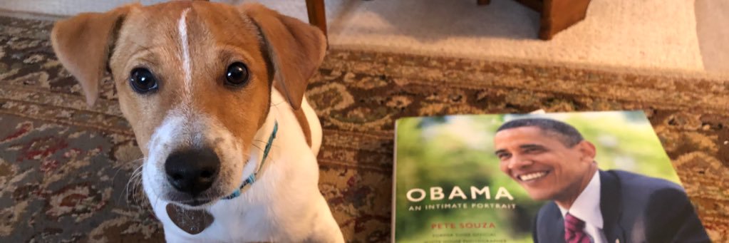 Daniel Jose Sanchez banner