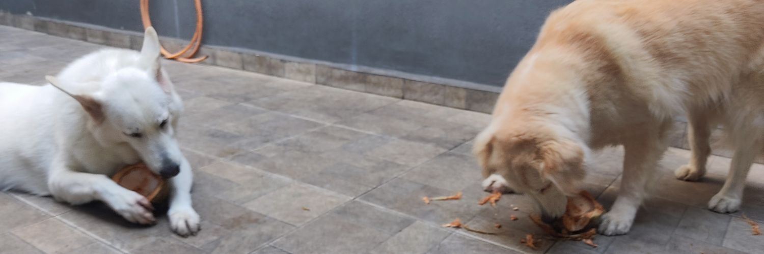 Iz_bela's profile banner image