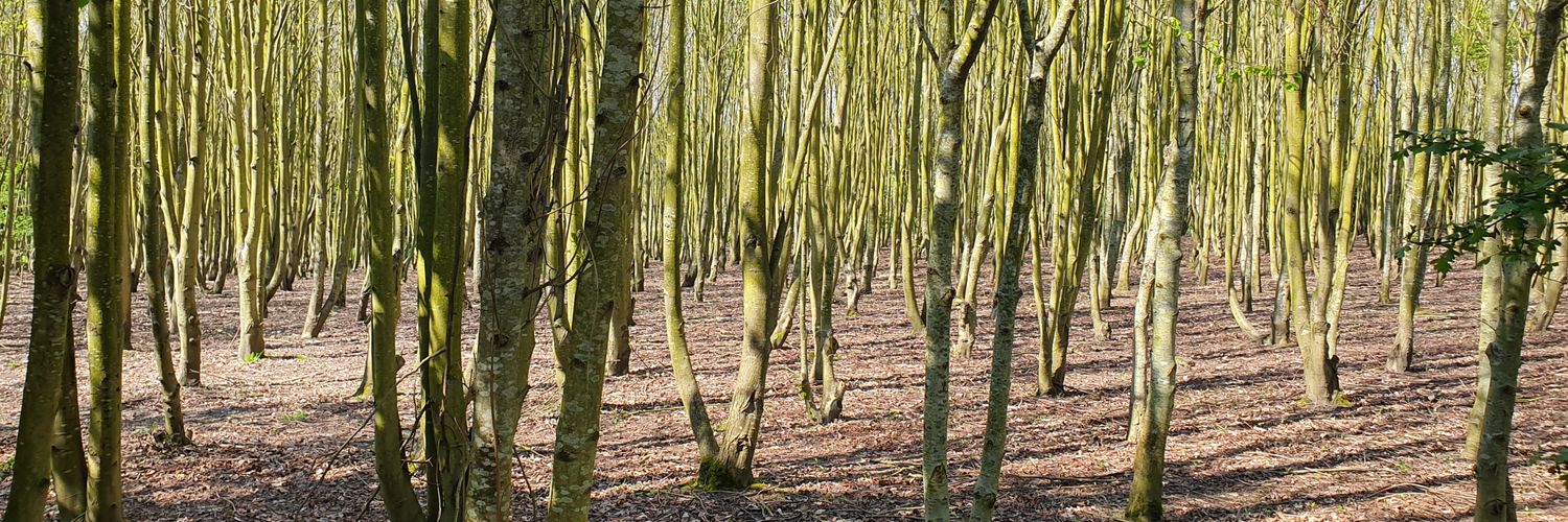 UnknownBot2097 banner