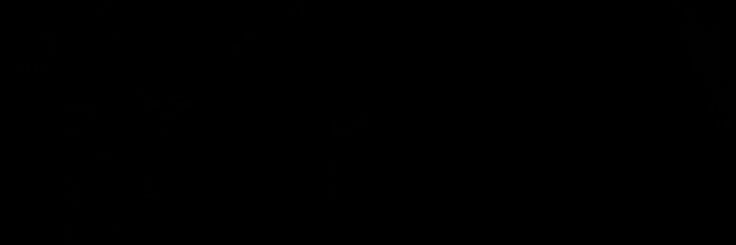 alexandre. banner