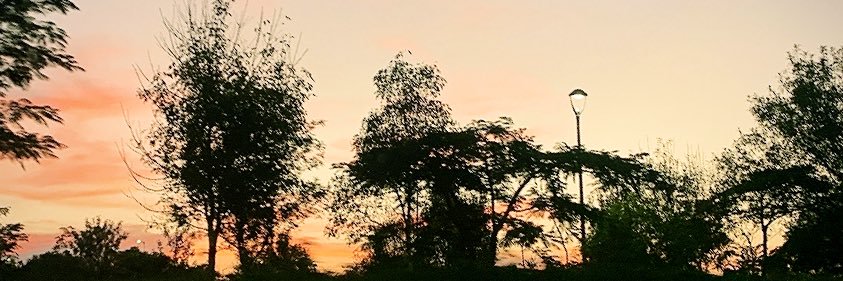 lozada_22's profile banner image