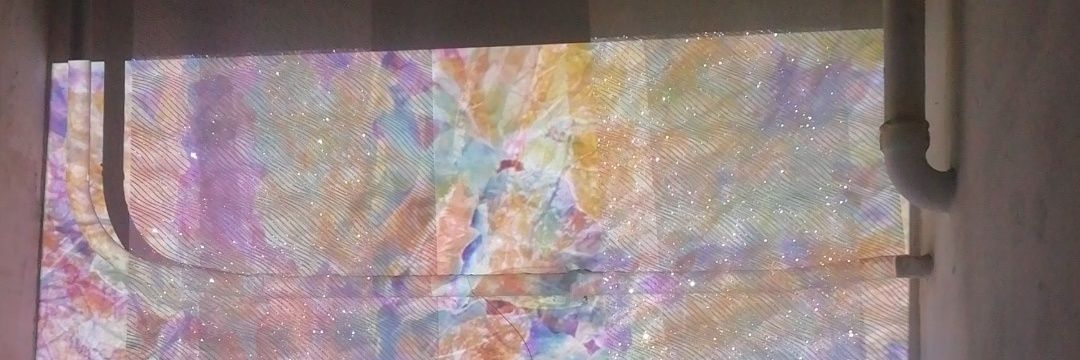 Pipistrelle commune banner