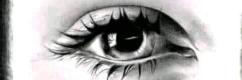 Pinzón Azul 👓 🏊‍♂️🎻 banner