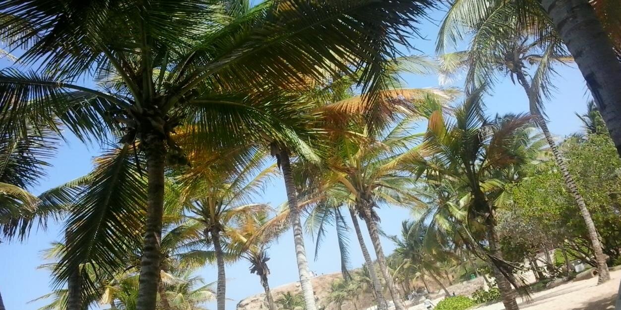 Eduardo Rodríguez banner