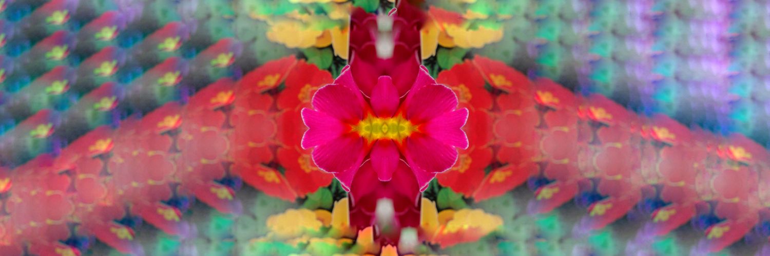MangoDeluxe's profile banner image