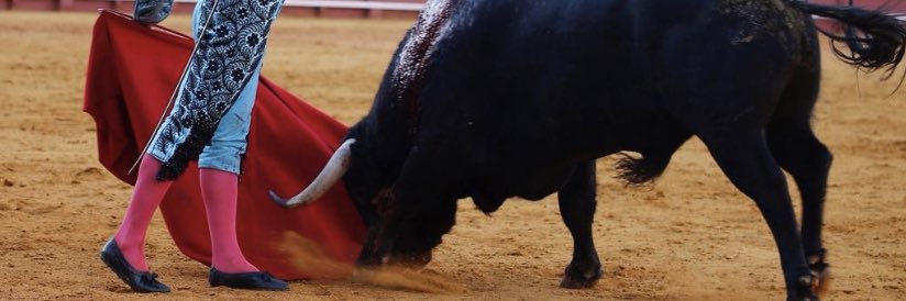Papo 🇪🇸 banner