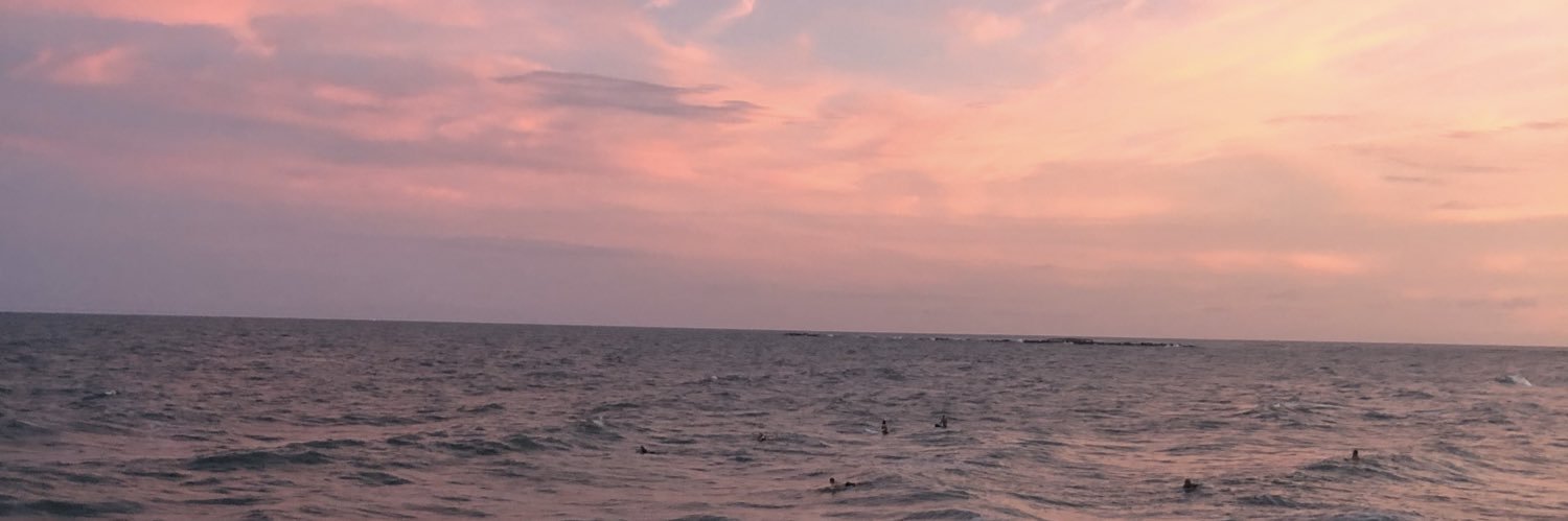 RaachelCribb's profile banner image