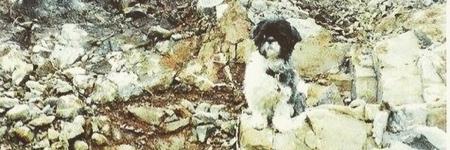 Erika_Bishop's profile banner image