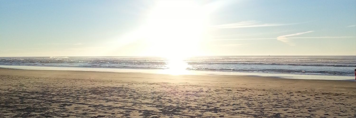 likeafoxyfox's profile banner image