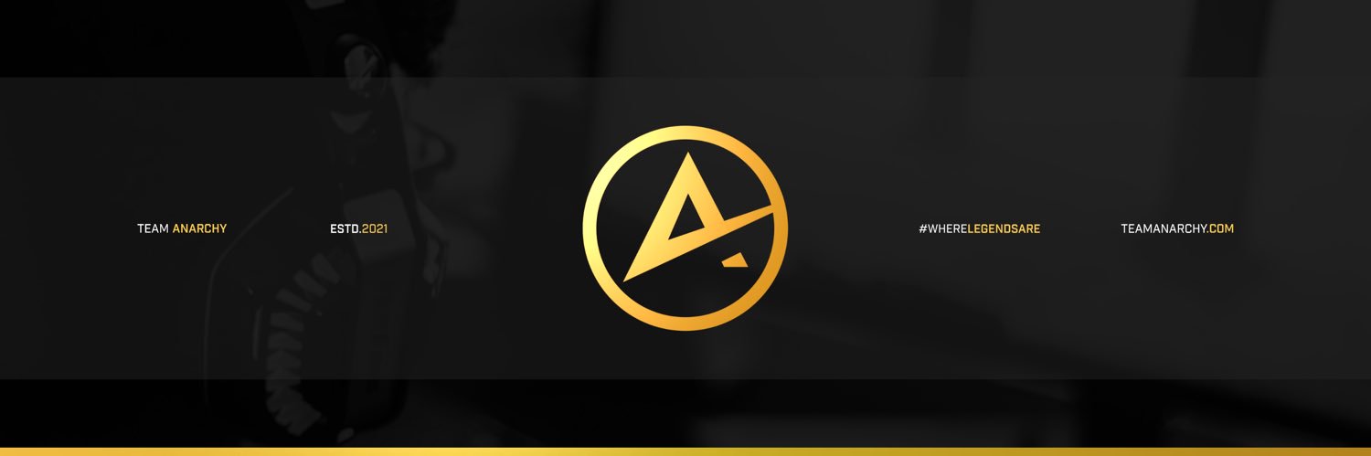 Team Anarchy banner